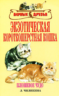 Книга Экзотическая короткошерстная кошка из серии Верные друзья, созданная Л. Чиликина, может относится к жанру Домашние Животные. Стоимость книги Экзотическая короткошерстная кошка  с идентификатором 170496 составляет 33.99 руб.