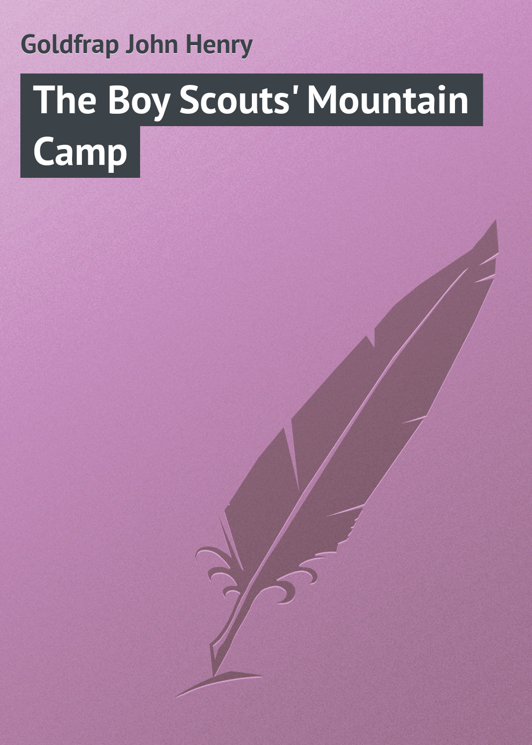 The Boy Scouts'Mountain Camp