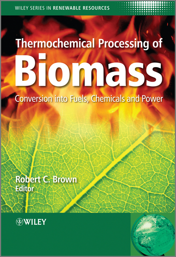 Thermochemical Processing of Biomass. Conversion into Fuels, Chemicals and Power
