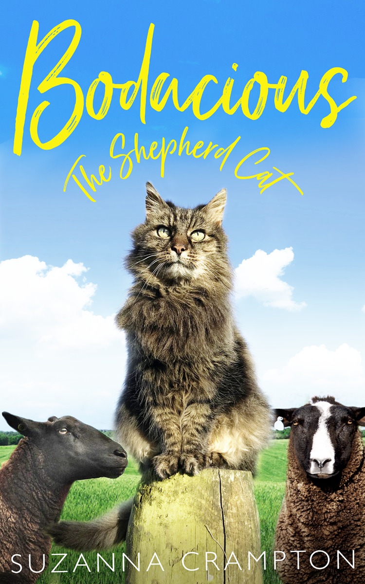 Книга Bodacious: The Shepherd Cat из серии , созданная Suzanna Crampton, может относится к жанру Биографии и Мемуары, Природа и животные, Домашние Животные. Стоимость электронной книги Bodacious: The Shepherd Cat с идентификатором 39779293 составляет 378.45 руб.