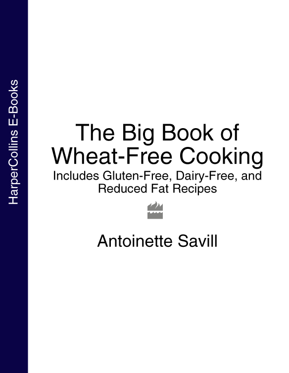The Big Book of Wheat-Free Cooking: Includes Gluten-Free, Dairy-Free, and Reduced Fat Recipes