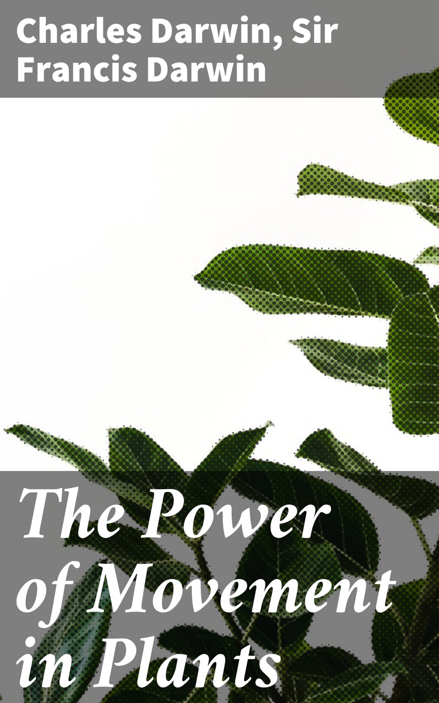The Power of Movement in Plants