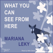 What You Can See from Here (Unabridged)