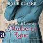 Nachwuchs in der Mulberry Lane - Die große Mulberry Lane Saga, Band 3 (Ungekürzt)