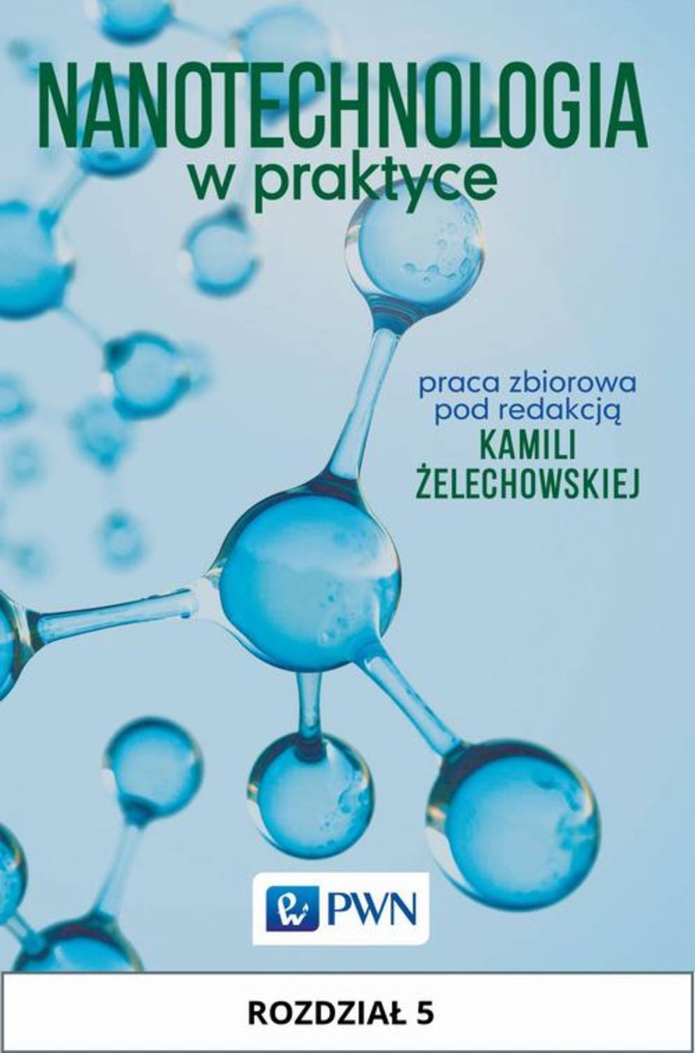 Nanotechnologia w praktyce. Rozdział 5