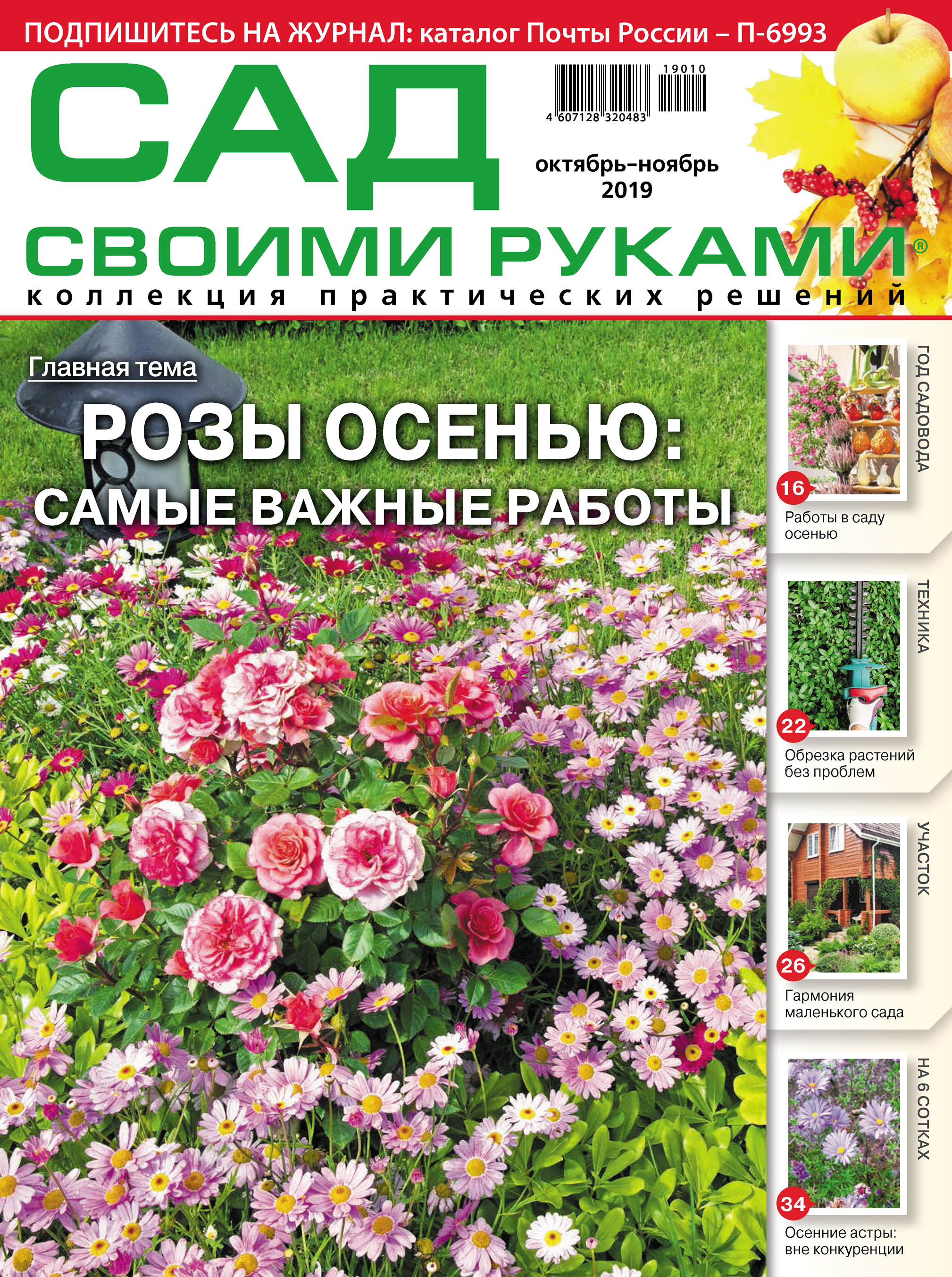 Сад своими руками №10-11/2019 – скачать pdf на ЛитРес