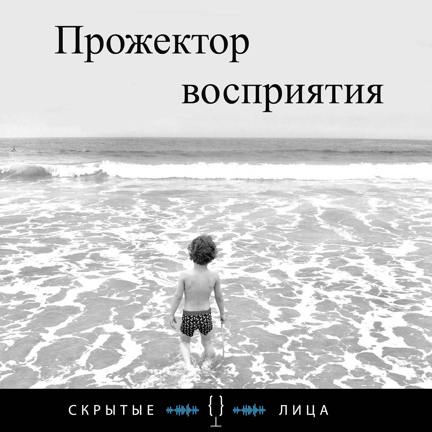 

Дрессировщик черепах
