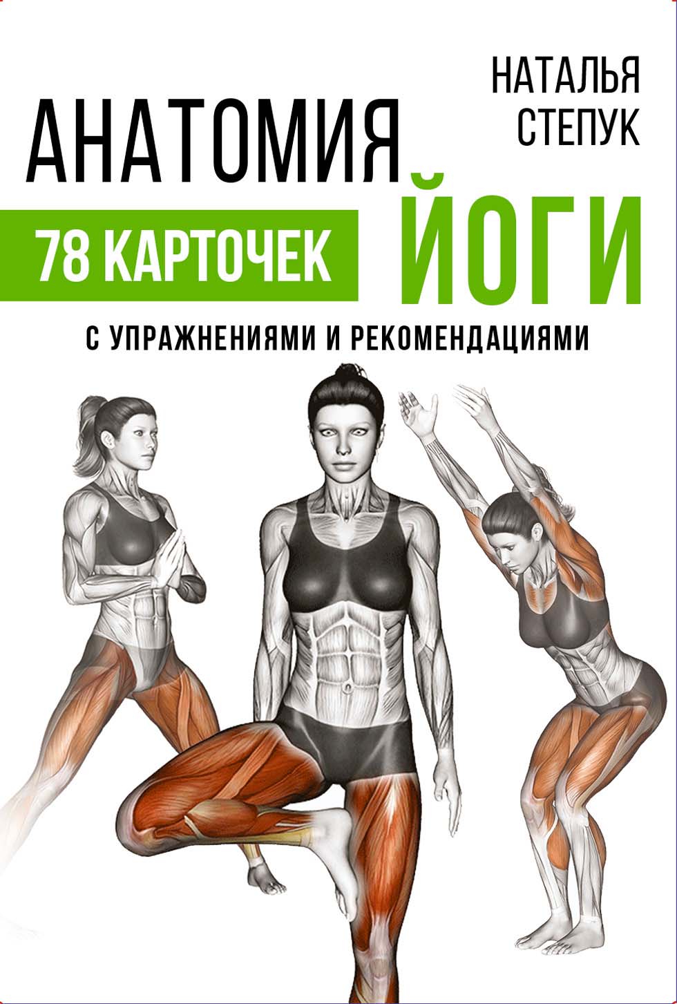 Анатомия йоги. 78 карточек с упражнениями и рекомендациями, Н. Г. Степук –  скачать pdf на ЛитРес