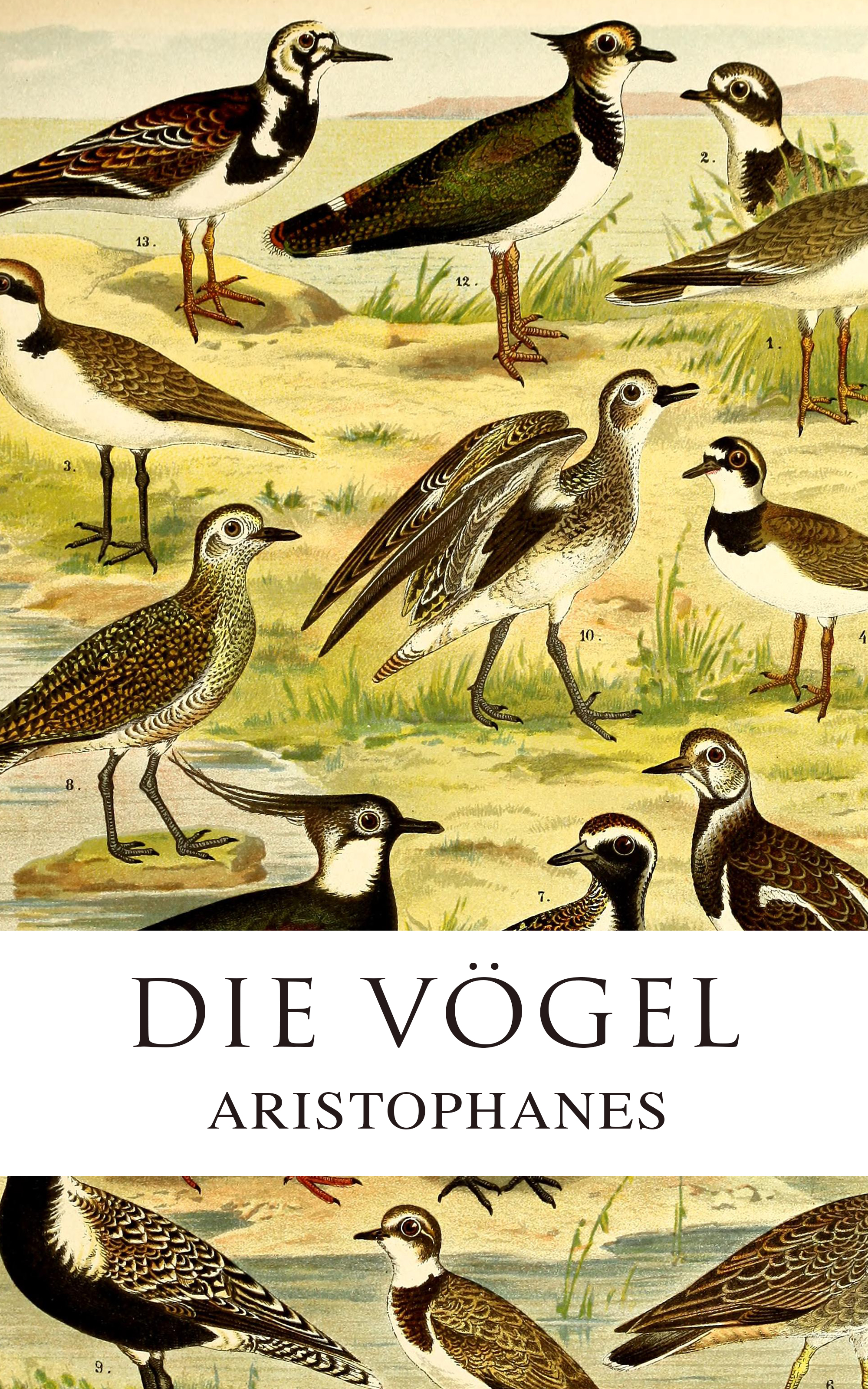 Die Vögel