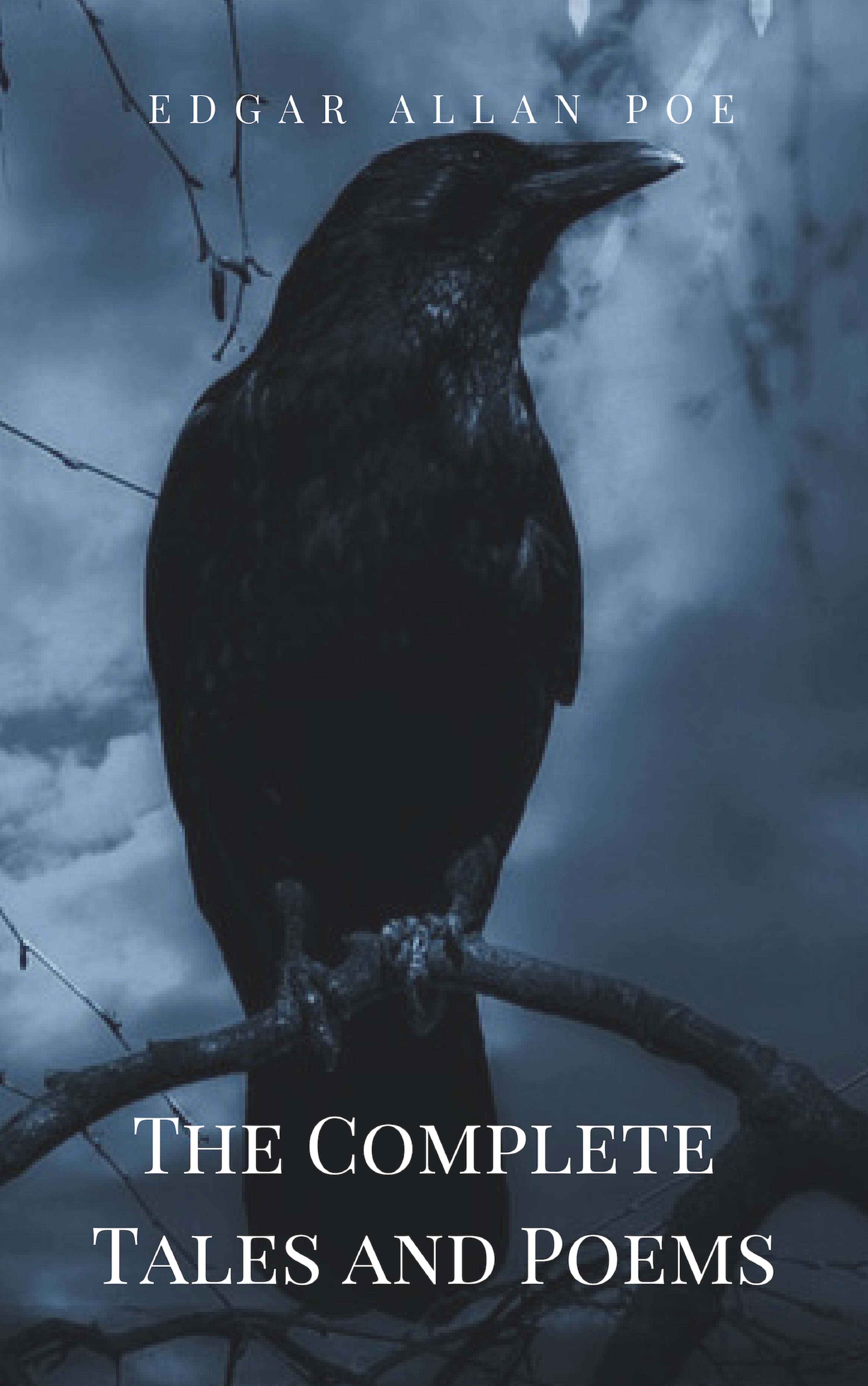 Эдгар Аллан По Edgar Allan Poe: Complete Tales and Poems: The Black Cat, The Fall of the House of Usher, The Raven, The Masque of the Red Death... the poems of laura riding rev
