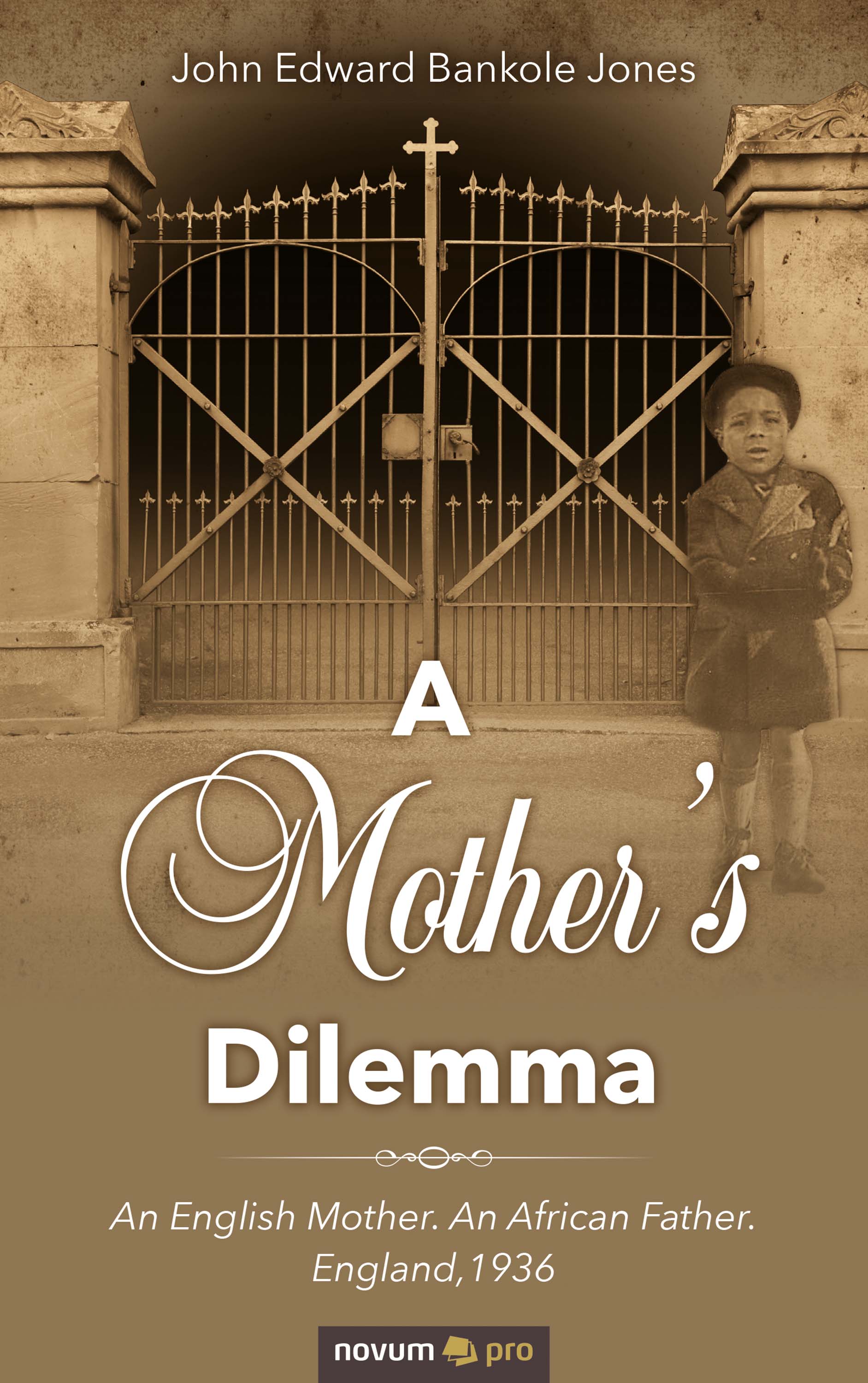 цены John Edward Bankole Jones A Mother's Dilemma