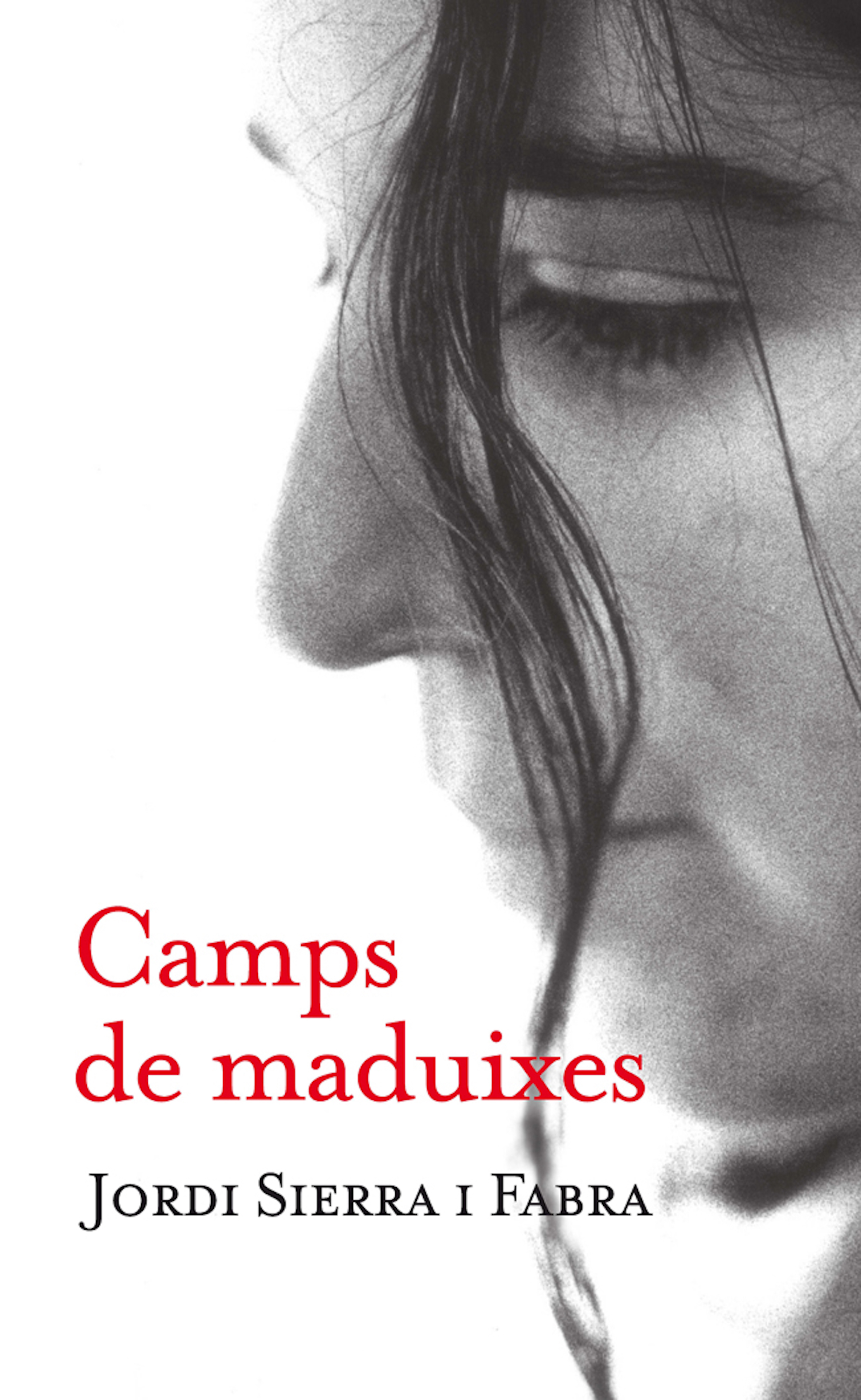 Camps de maduixes