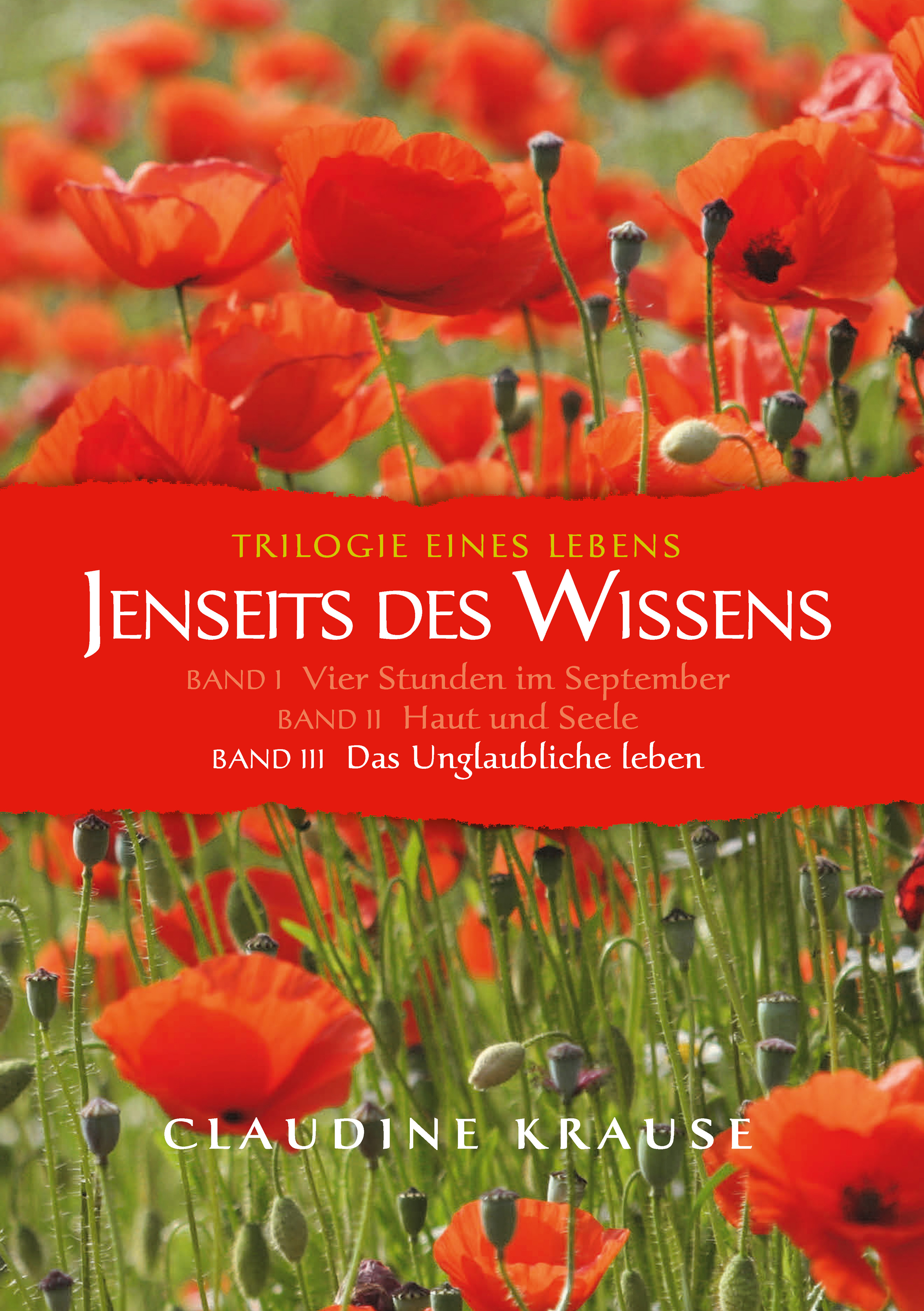 

Jenseits des Wissens - Band III