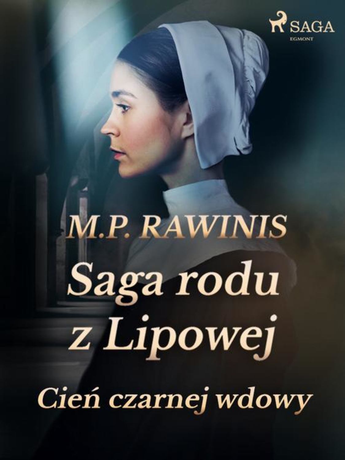 Saga rodu z Lipowej: Cień czarnej wdowy