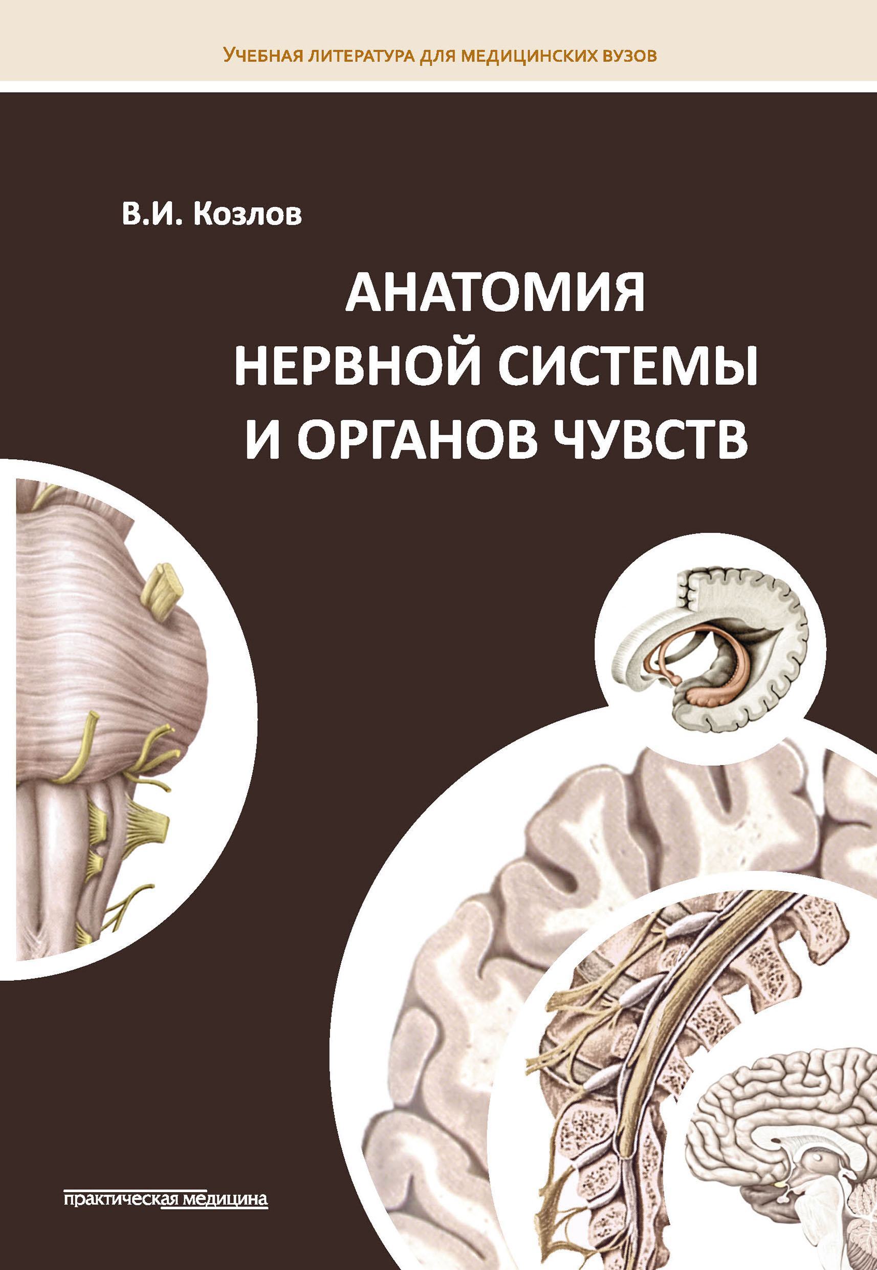 Анатомия козла