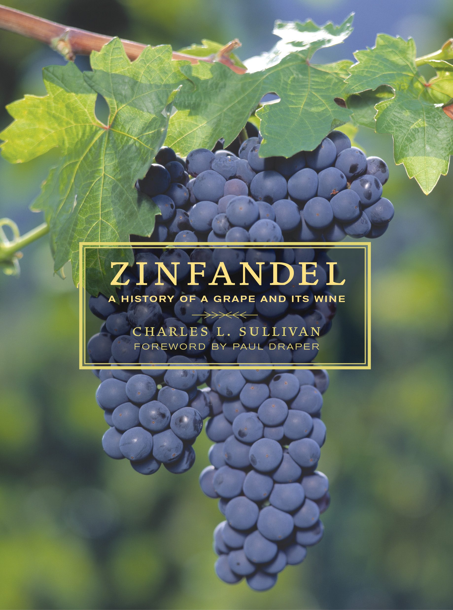 Zinfandel