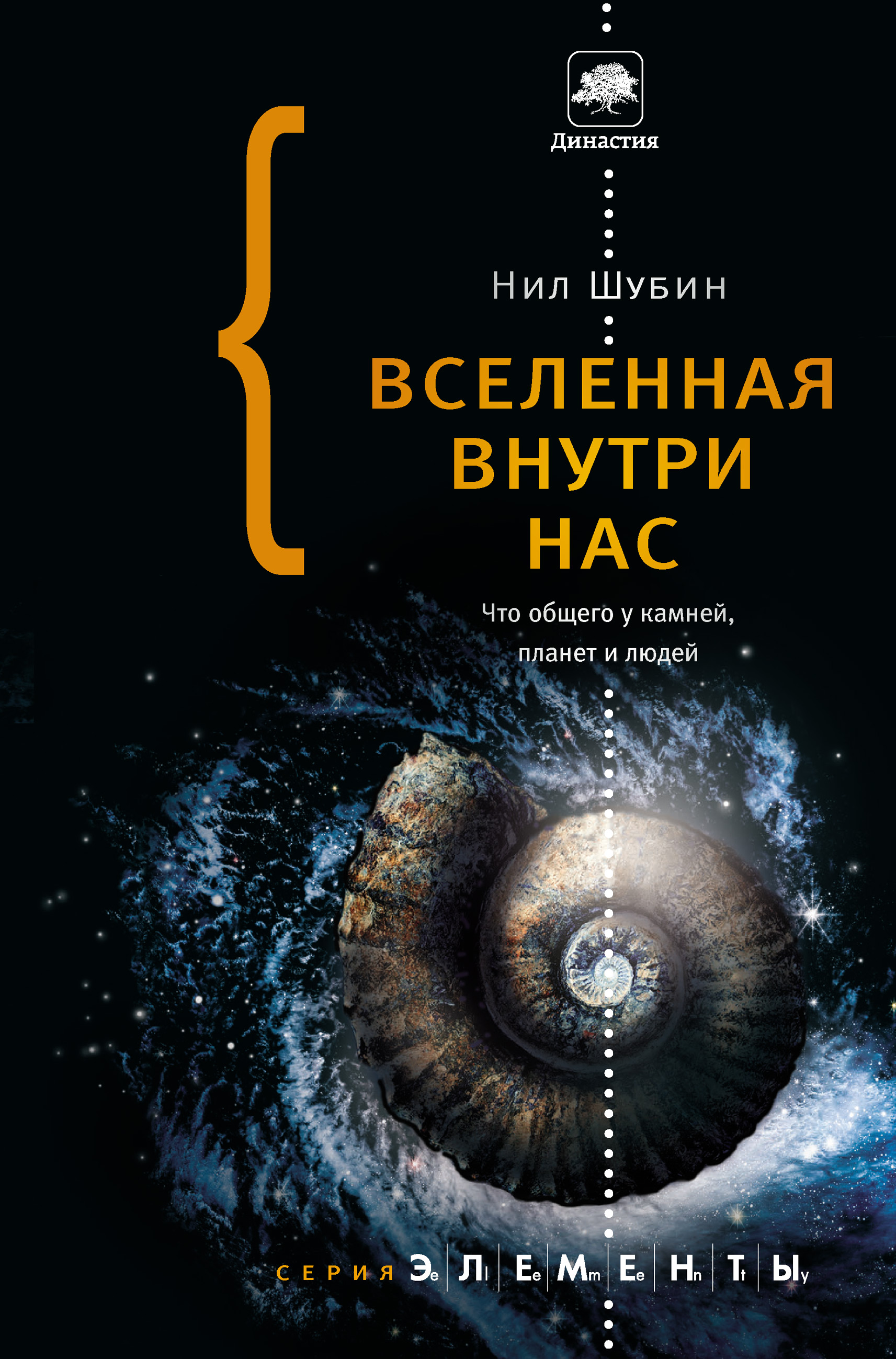 Вселенная внутри нас: что общего у камней, планет и людей, Нил Шубин –  скачать книгу fb2, epub, pdf на ЛитРес