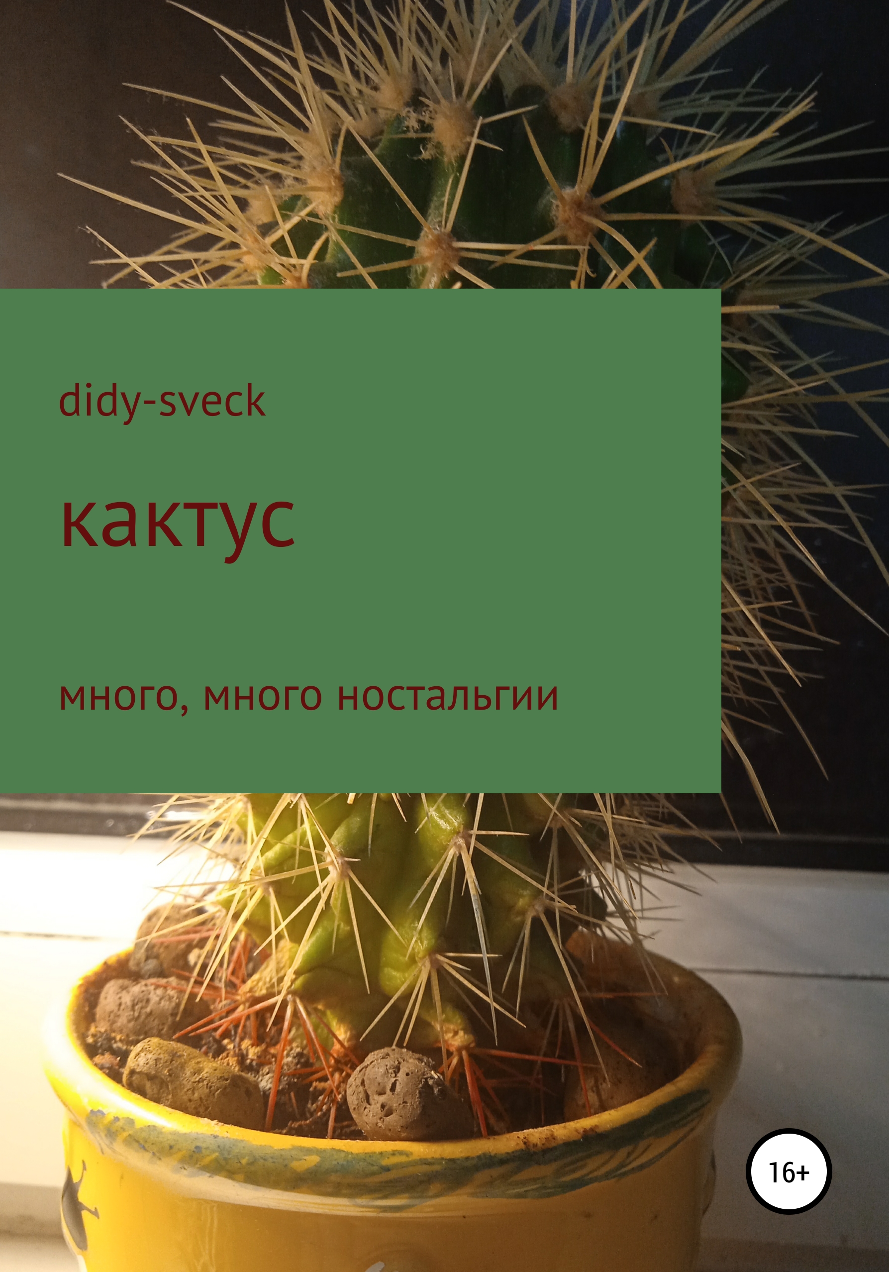 Кактус – Didy-sveck