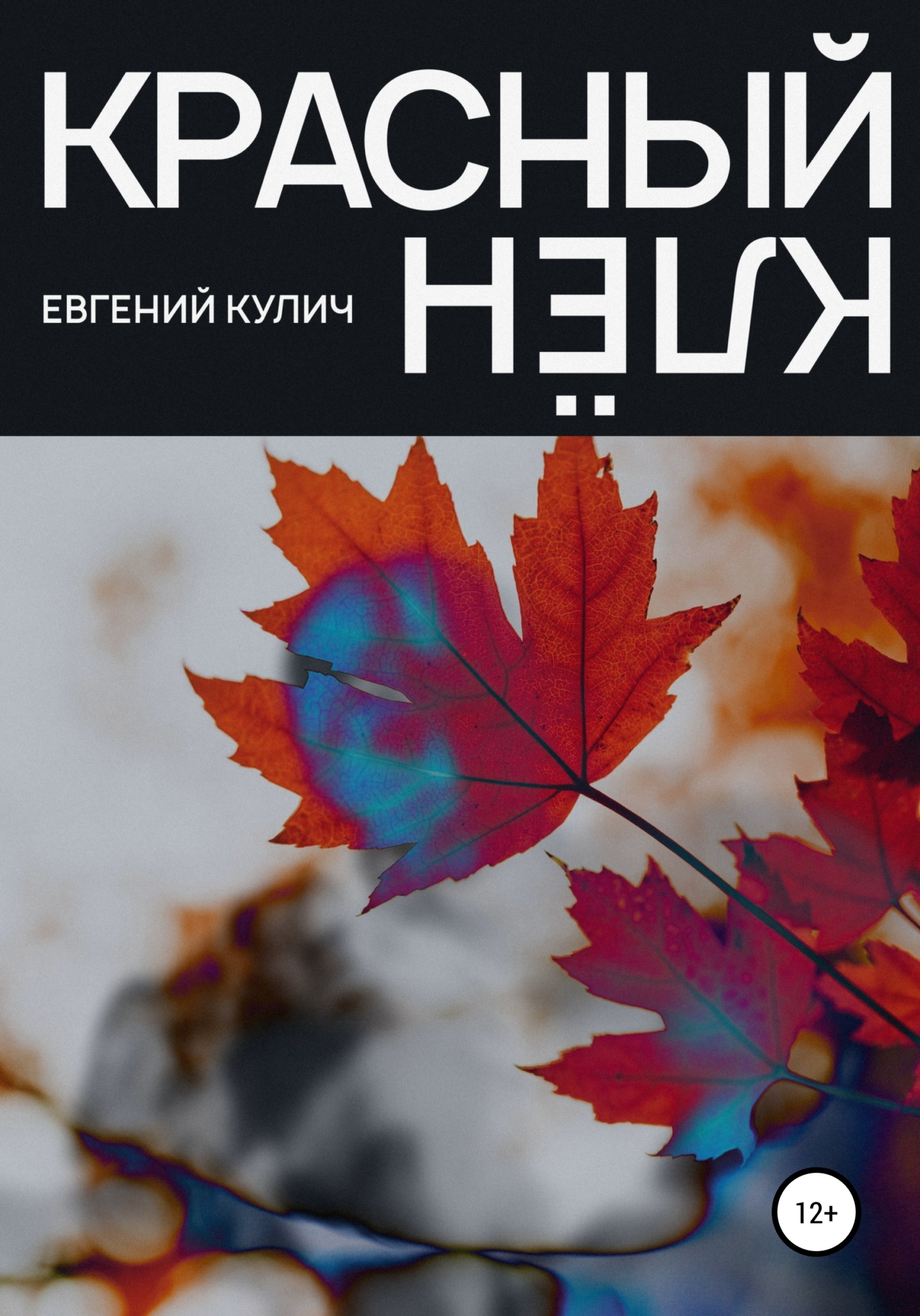 Красный клён – Евгений Александрович Кулич