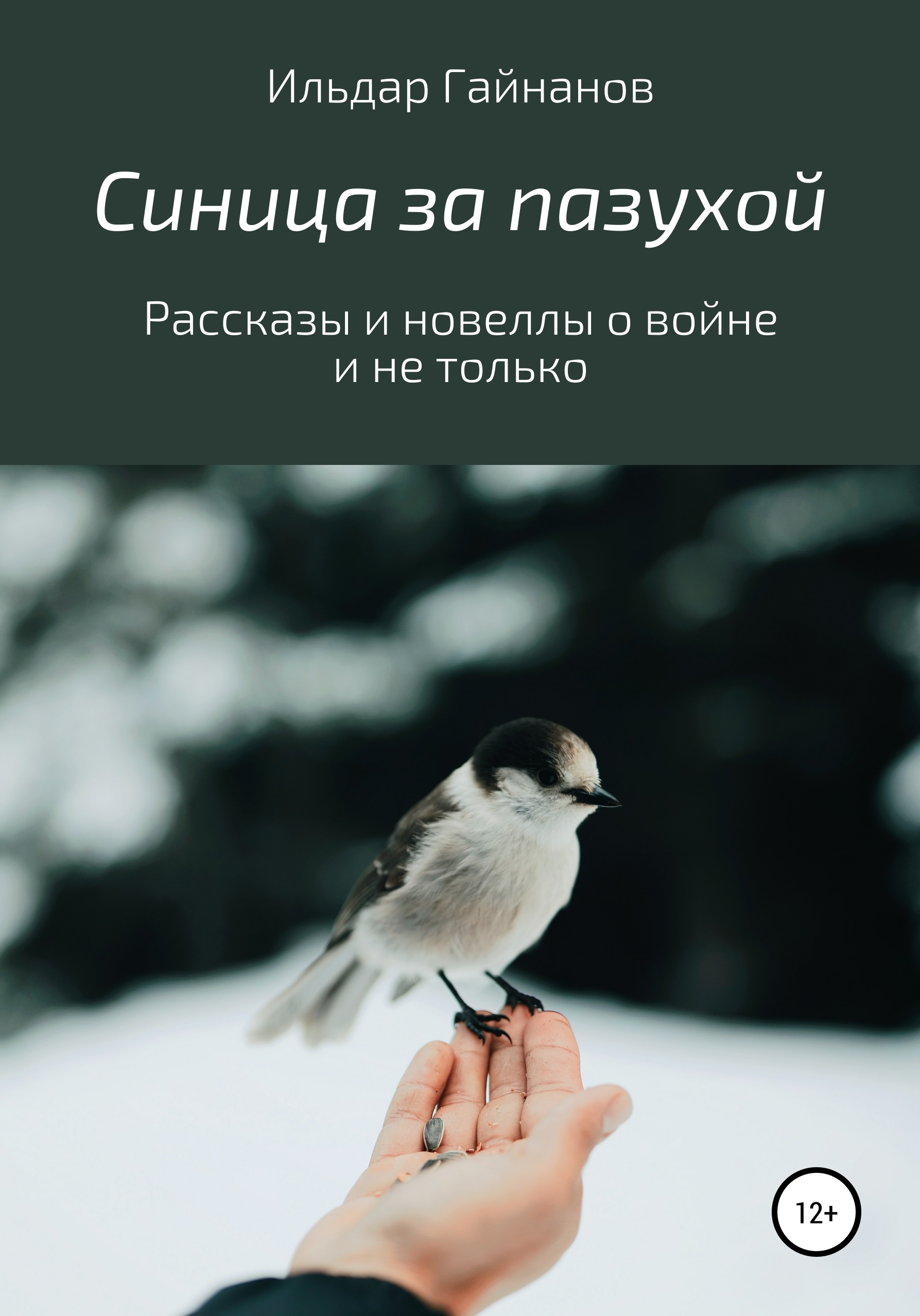 Синица за пазухой. Рассказы и новеллы о войне и не только, Ильдар Ханифович  Гайнанов – скачать книгу fb2, epub, pdf на ЛитРес