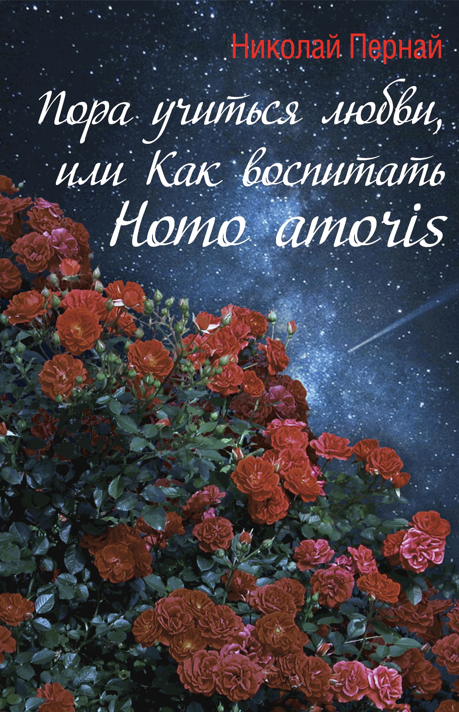 Пора учиться любви, или Как воспитать Homo amoris, Николай Пернай – скачать  книгу fb2, epub, pdf на ЛитРес