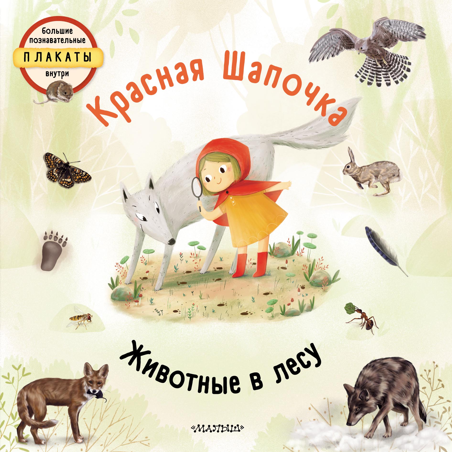 «Красная шапочка. Животные в лесу» – Яна Седлачкова | ЛитРес