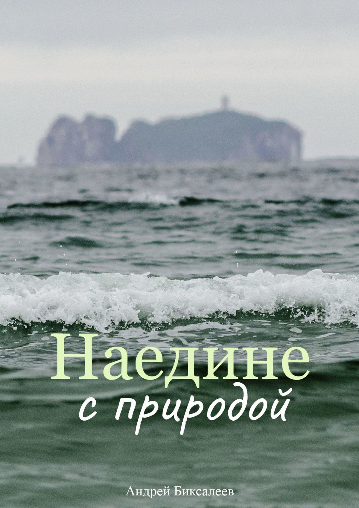 Наедине с природой, Андрей Биксалеев – скачать книгу fb2, epub, pdf на  ЛитРес