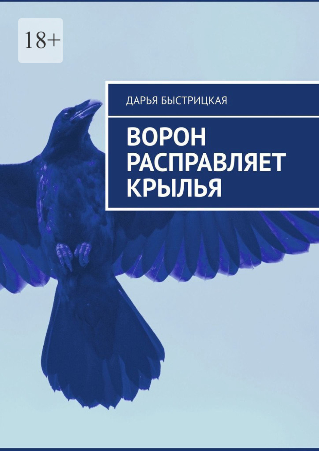 Крылья Вороны Veniard Crow Wings