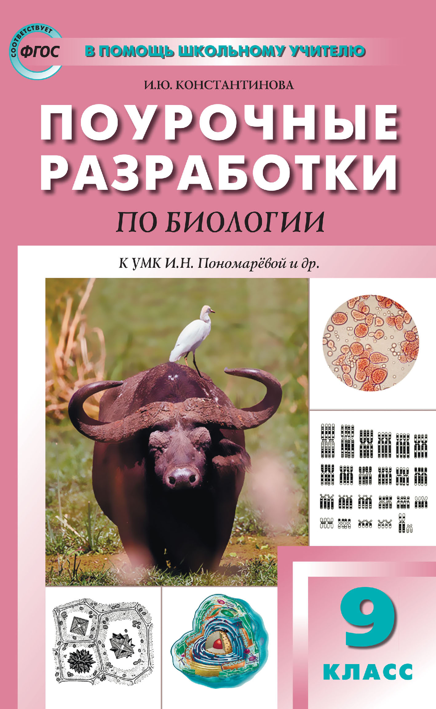 «Поурочные разработки по биологии. 9 класс (к УМК И. Н. Пономарёвой и др.  (М.: Просвещение))» – И. Ю. Константинова | ЛитРес