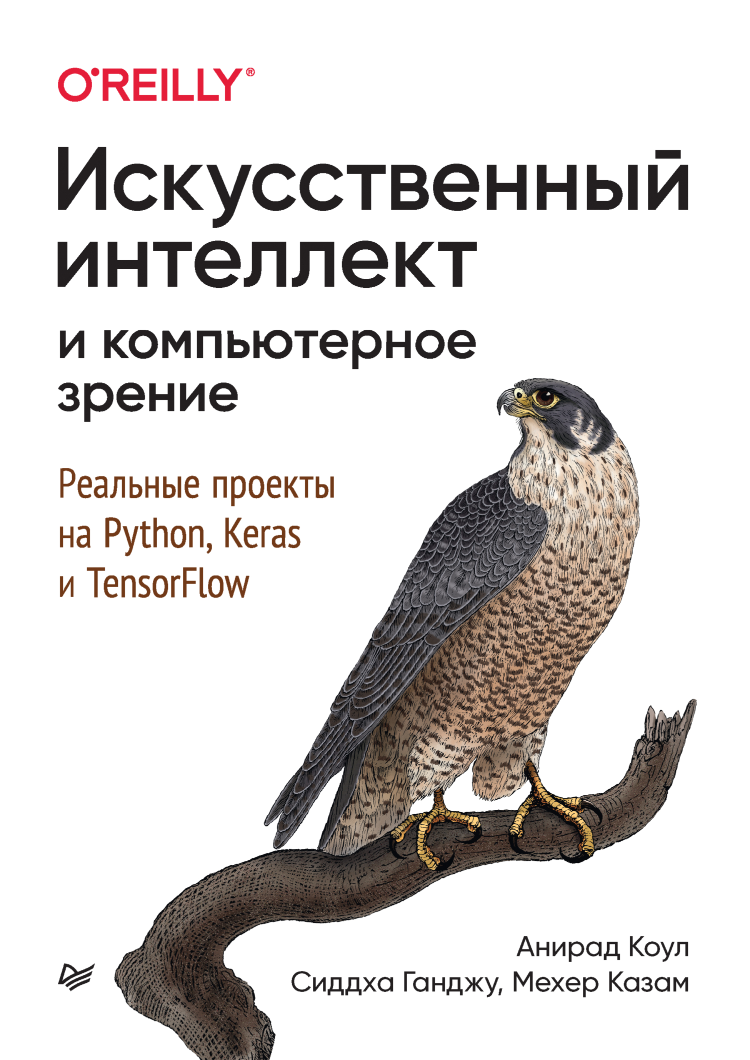 Искусственный интеллект и компьютерное зрение. Реальные проекты на Python,  Keras и TensorFlow (+ epub), Анирад Коул – скачать pdf на ЛитРес