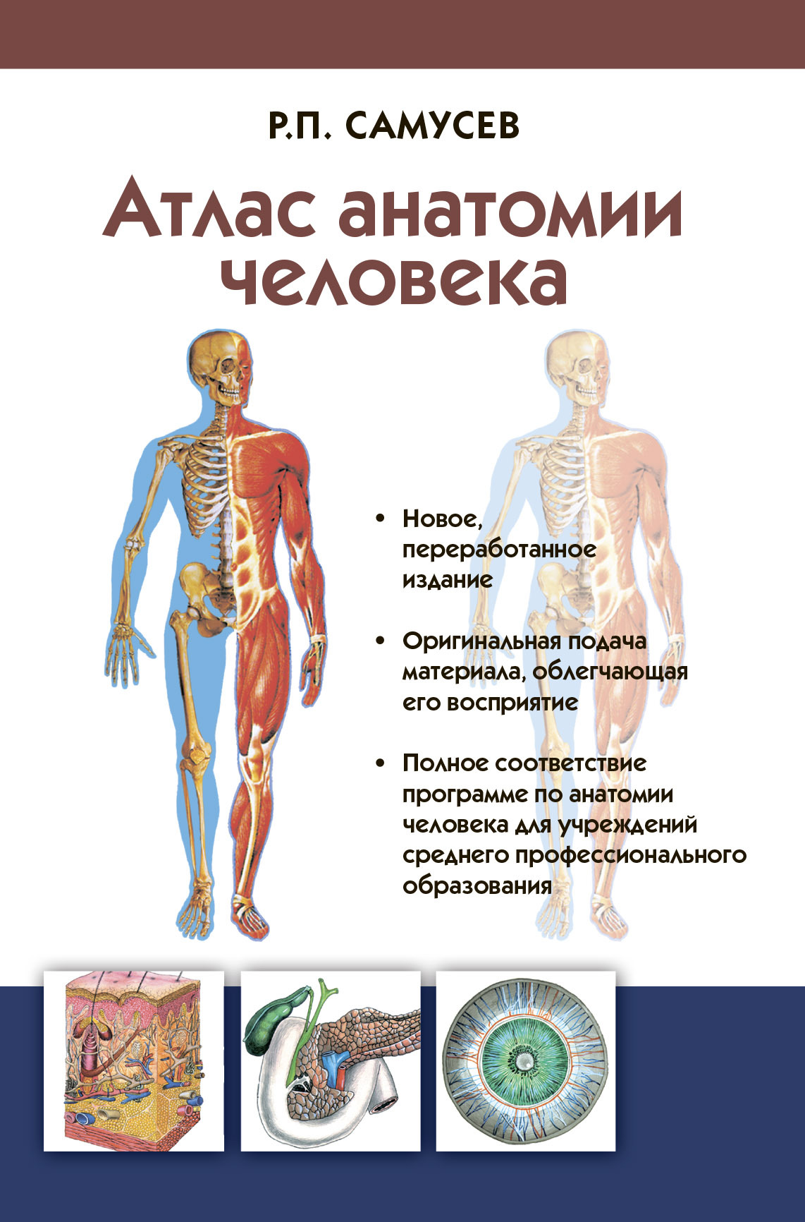 Атлас анатомии человека. Учебное пособие для студентов учреждений среднего  профессионального образования, Р. П. Самусев – скачать pdf на ЛитРес