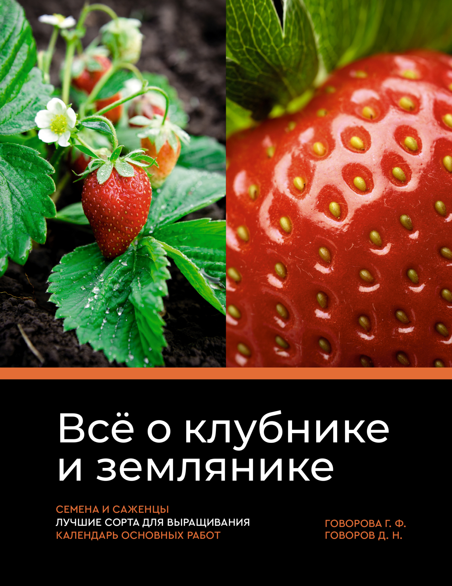 Всё о клубнике и землянике. Семена и саженцы. Лучшие сорта для выращивания.  Календарь основных работ, Галина Федоровна Говорова – скачать книгу fb2,  epub, pdf на ЛитРес