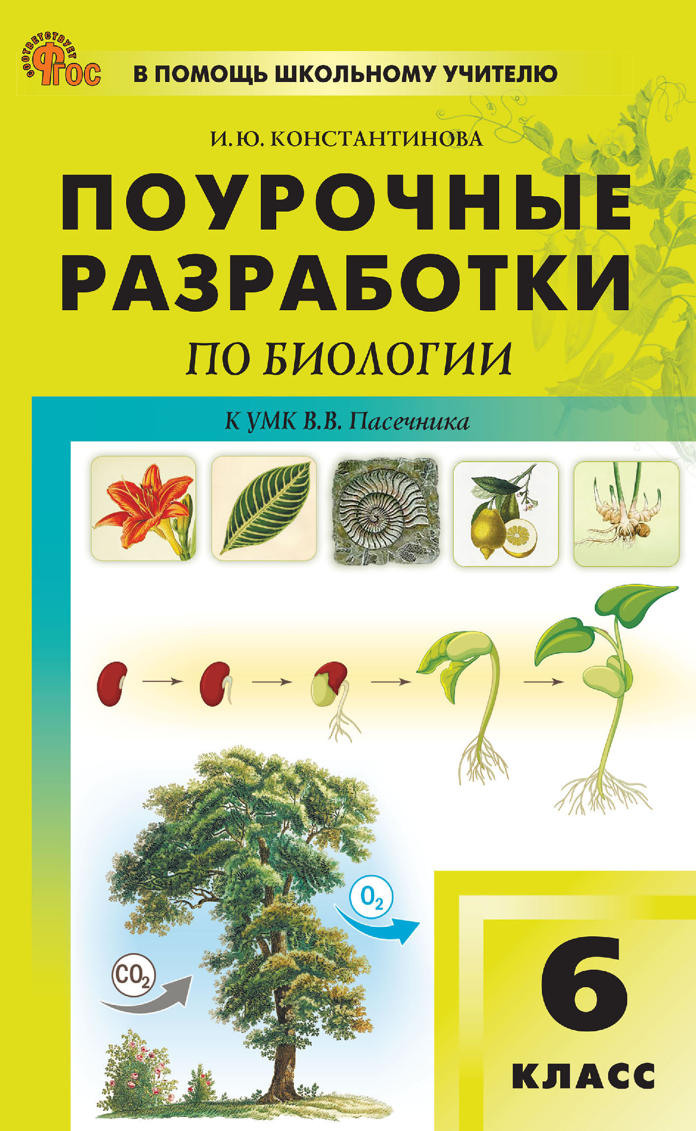 Поурочные разработки по биологии к УМК В. В. Пасечника (М.: Просвещение).  Пособие для учителя. 6 класс, И. Ю. Константинова – скачать pdf на ЛитРес