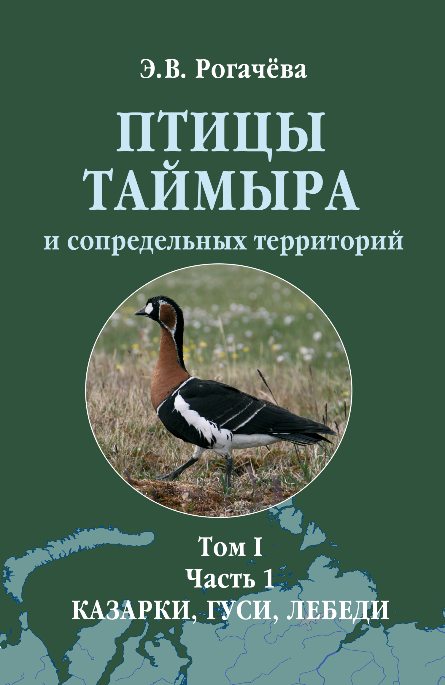 Птицы Таймыра и сопредельных территорий. Том I. Гусеообразные. Часть 1.  Казарки, гуси, лебеди, Энергия Рогачева – скачать pdf на ЛитРес