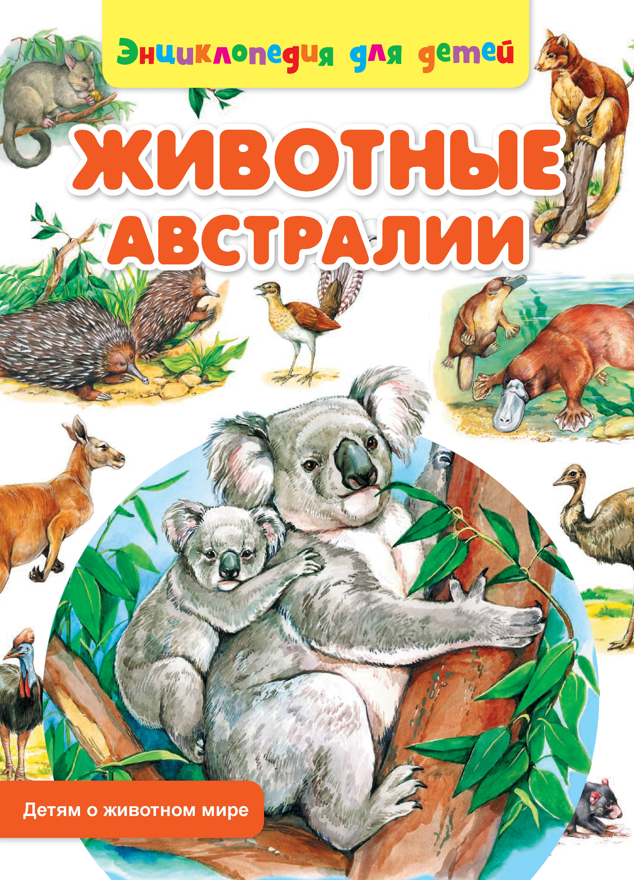 Книги О Животных Картинки