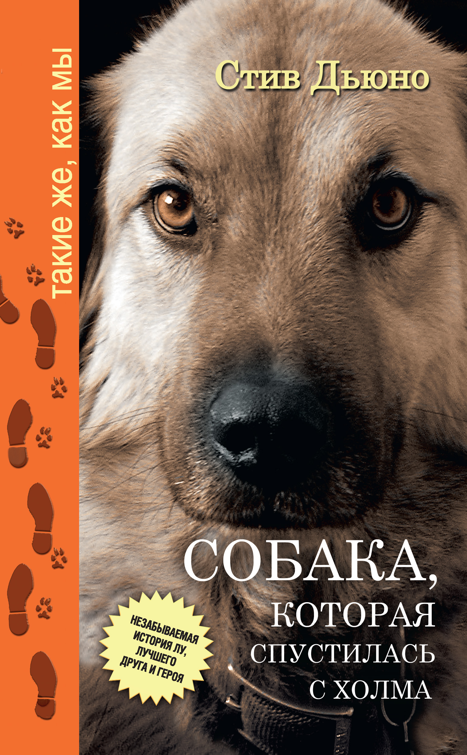 Собака, которая спустилась с холма. Незабываемая история Лу, лучшего друга  и героя, Стив Дьюно – скачать книгу fb2, epub, pdf на ЛитРес