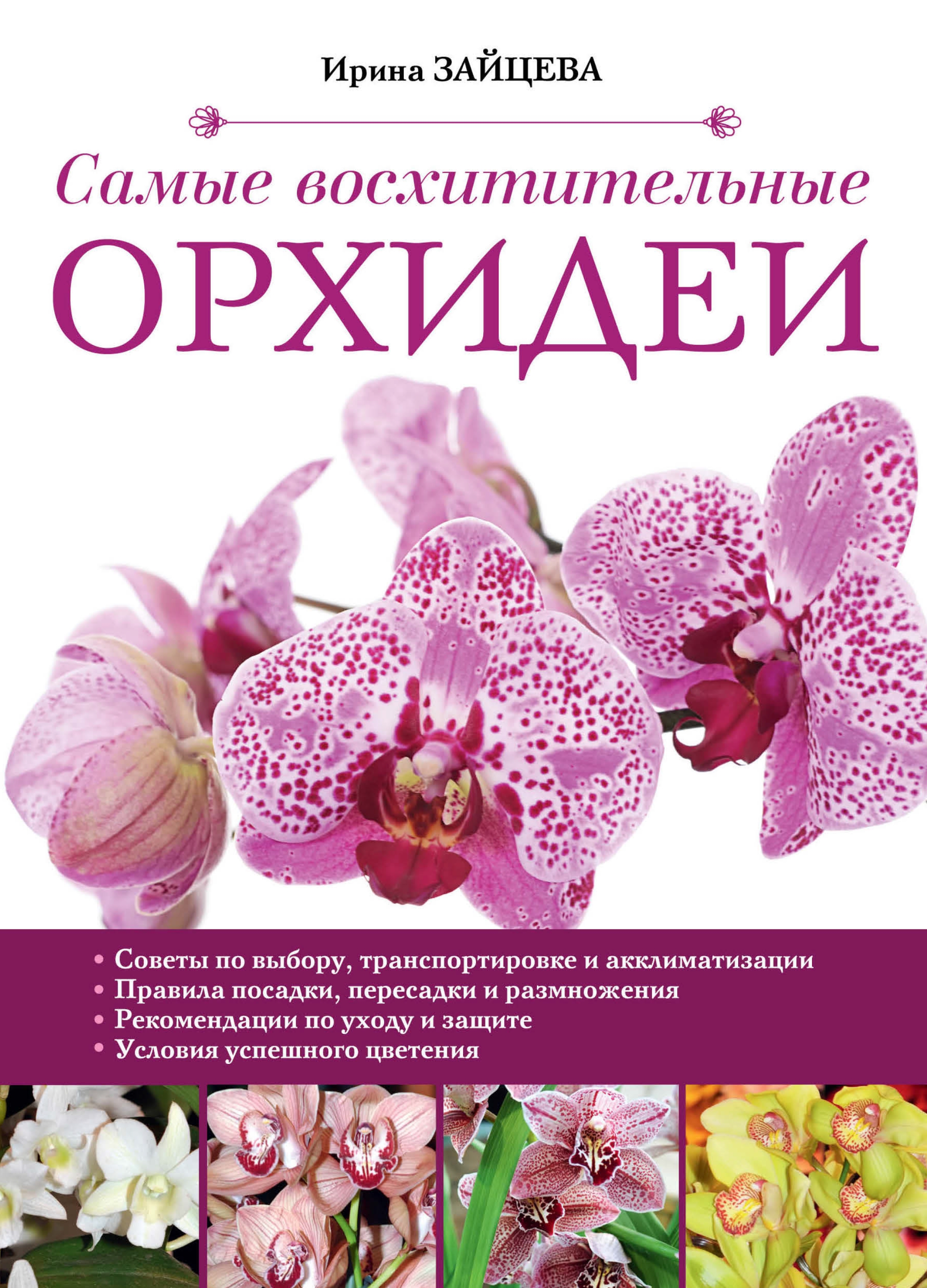 Самые восхитительные орхидеи, Ирина Зайцева – скачать pdf на ЛитРес