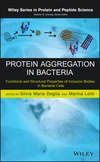 Protein Aggregation in Bacteria