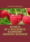 Secrets of a successful raspberry growing business