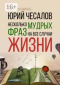 Несколько мудрых фраз на все случаи жизни - Юрий Александрович Чесалов