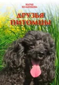 Друзья-питомцы - Мария Мельникова