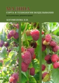 Малина: сорта и технология возделывания (методические рекомендации) - Н.И. Богомолова