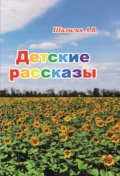 Детские рассказы - А. В. Шалыгин