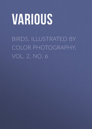 Birds, Illustrated by Color Photography, Vol. 2, No. 6