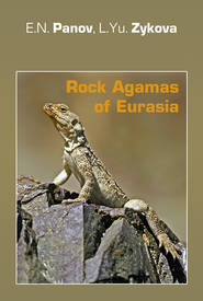 Rock Agamas of Eurasia \/ Горные агамы Евразии