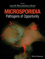 Microsporidia