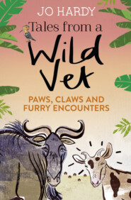 Tales from a Wild Vet: Paws, claws and furry encounters
