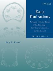 Esau\'s Plant Anatomy