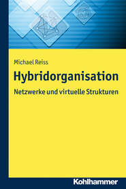 Hybridorganisation
