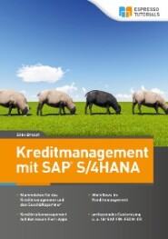 Kreditmanagement mit SAP S\/4HANA
